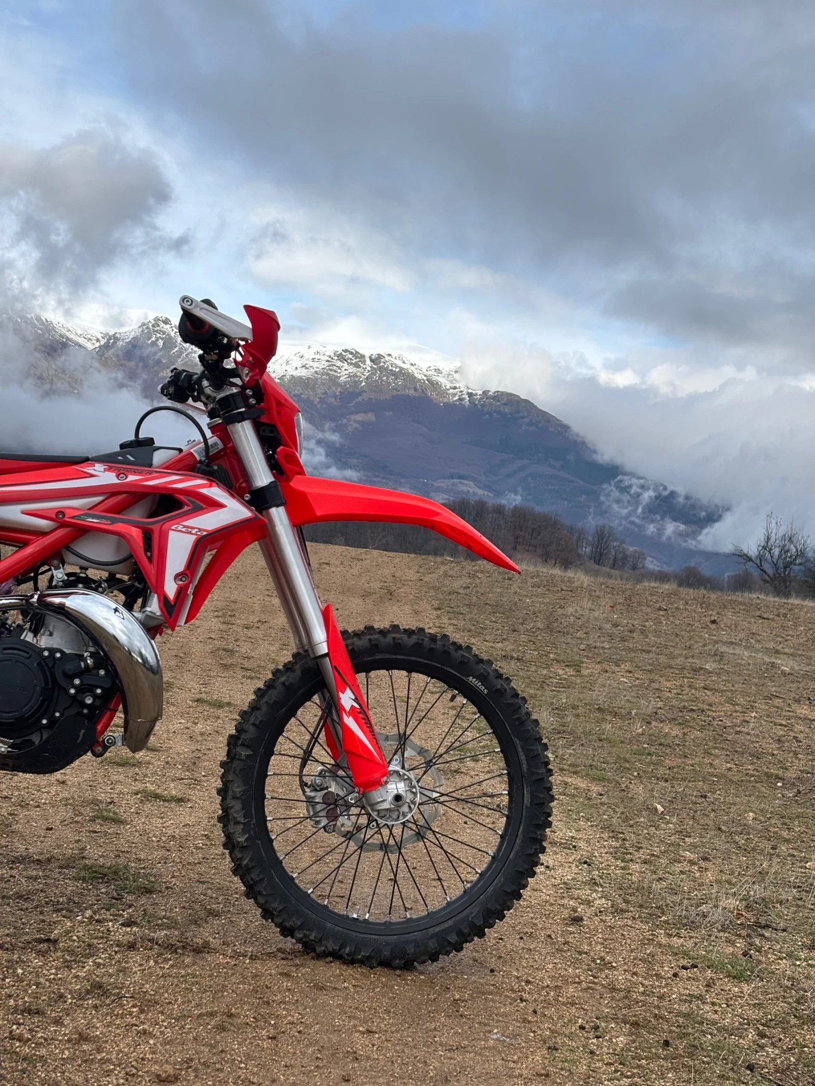 Beta Rr Xtrainer 300 - изображение 3