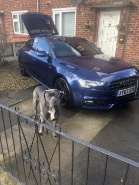 Audi A5 - 8000 € / 15646.64 лв. - 91025818 3