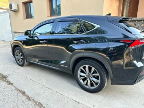 Lexus NX 300h F-SPORT PREMIUM+ , Всички екстри, Гаранция , снимка 6