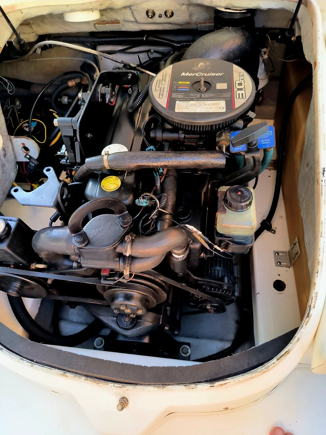 ������� ���� Bayliner GT 111 | Mobile.bg � ����������� 16