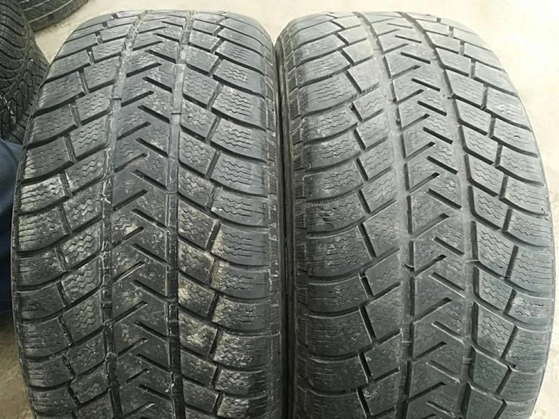 Гуми Зимни 255/50R19, снимка 1 - Гуми и джанти - 24363335