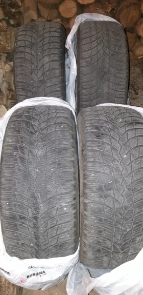 Гуми Зимни 225/50R17