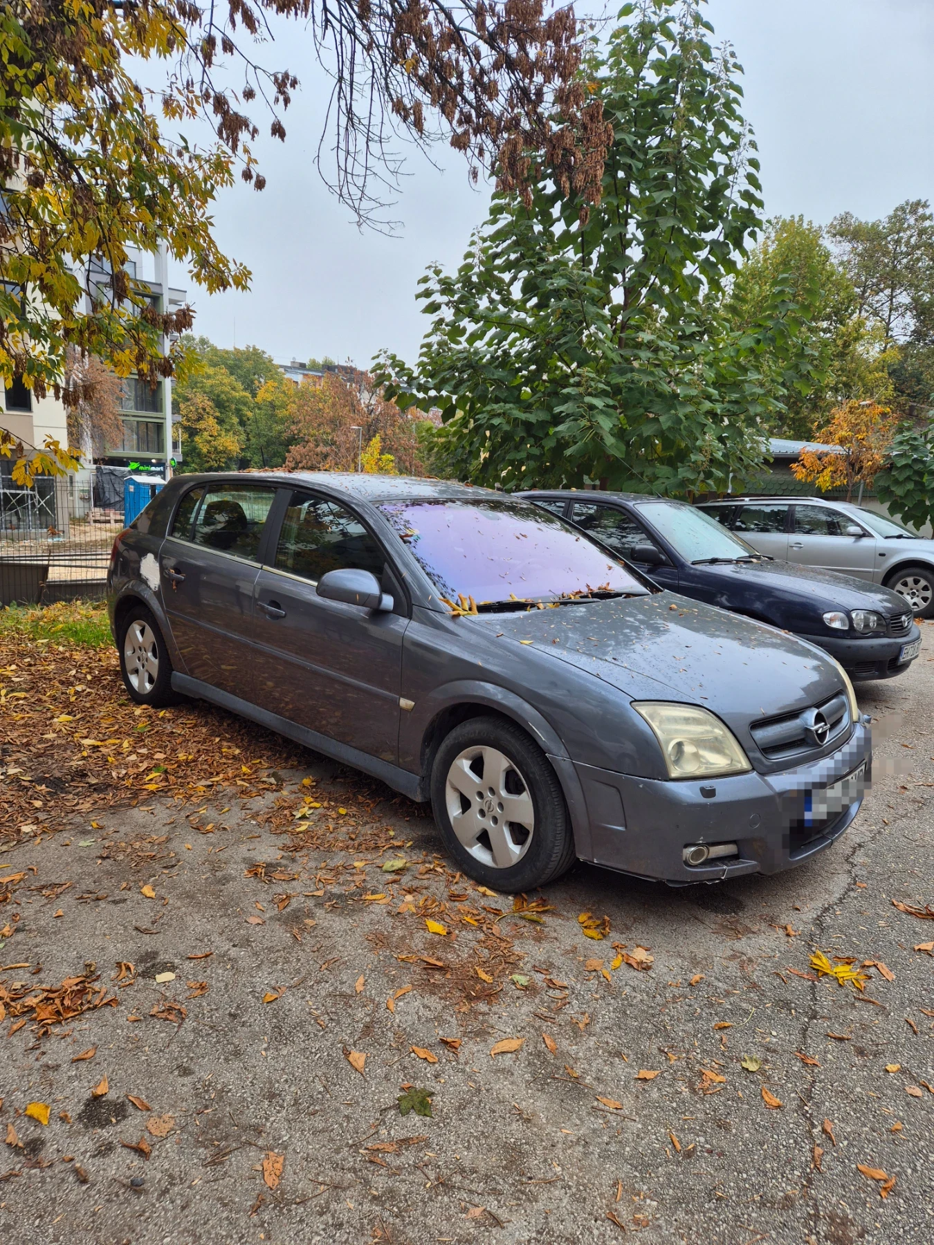 Opel Signum, снимка 2 - Автомобили и джипове - 56642535