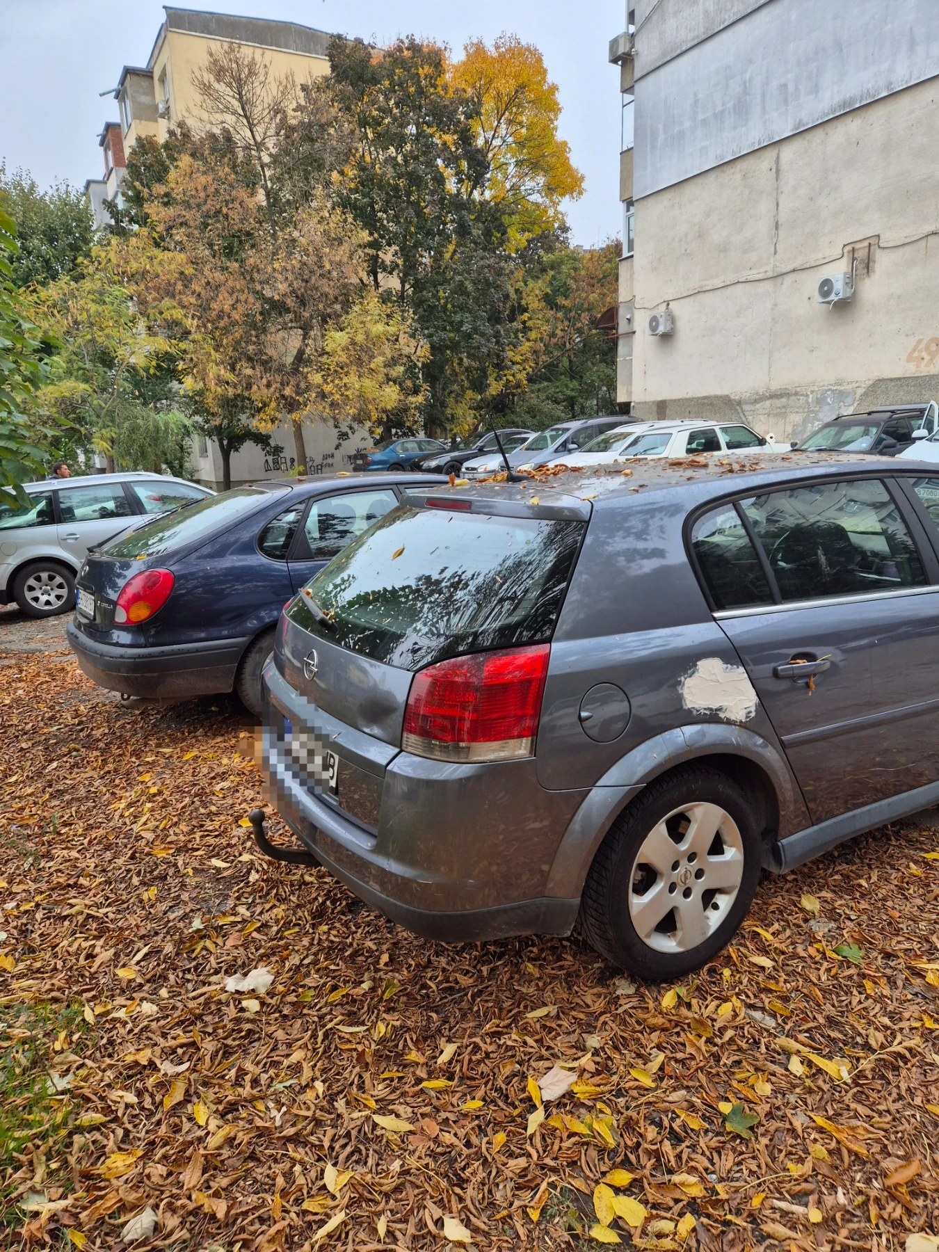Opel Signum