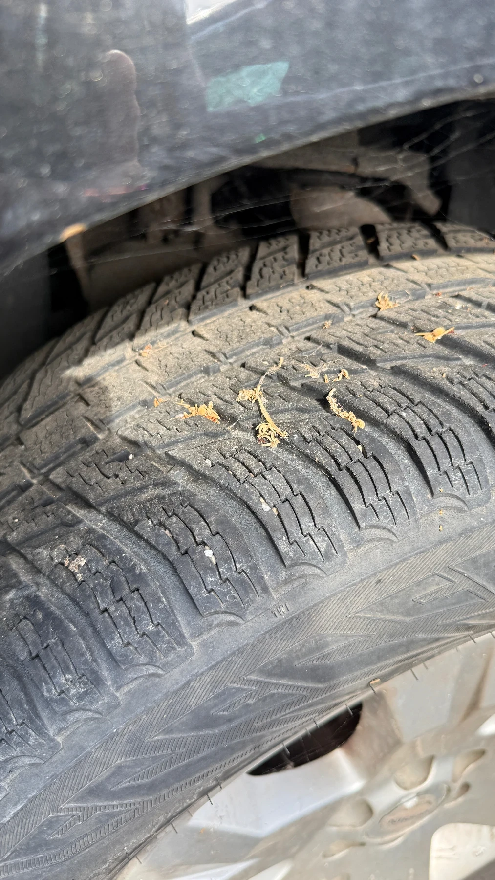 Nissan Navara, снимка 9 - Автомобили и джипове - 56516300