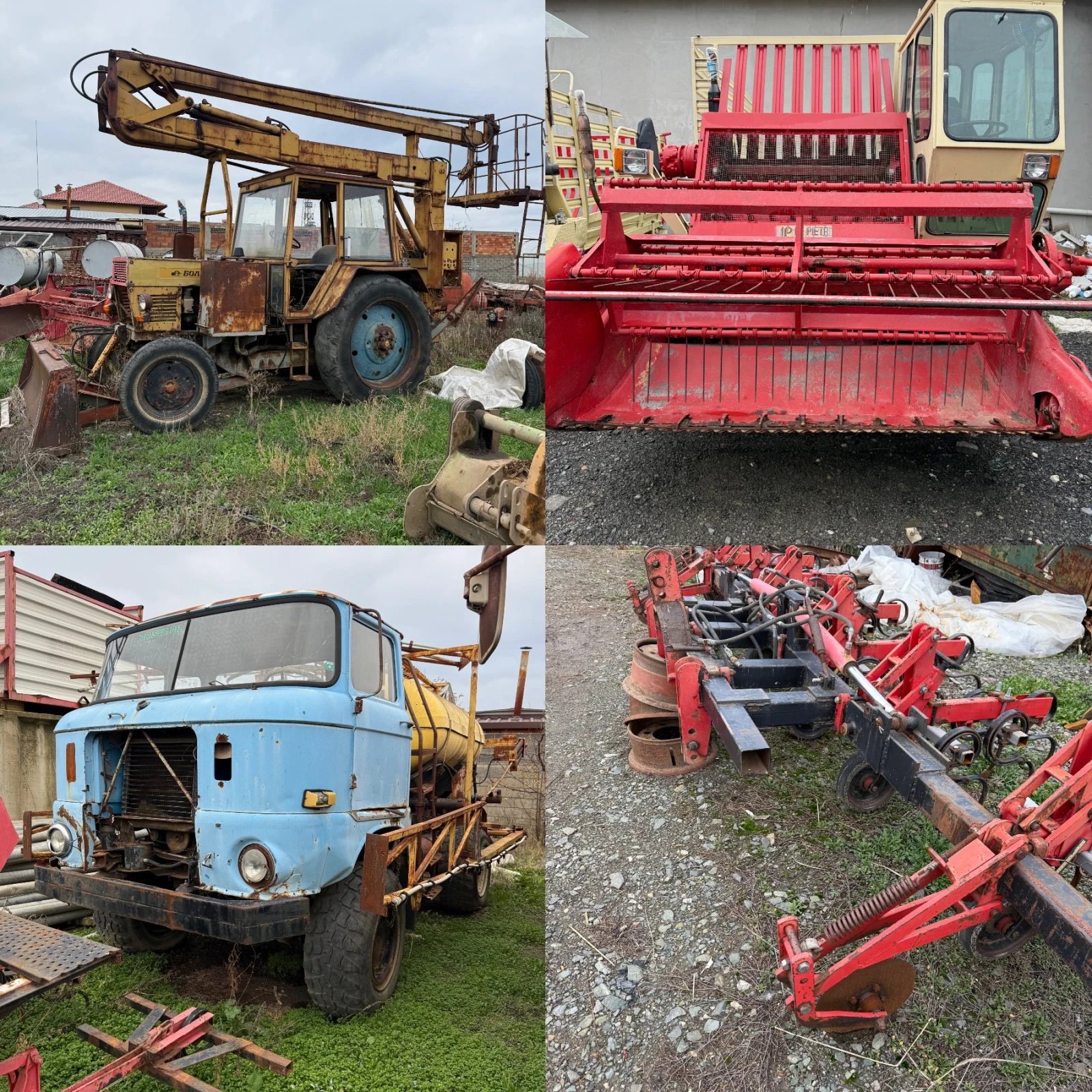 Друг вид Български, снимка 1