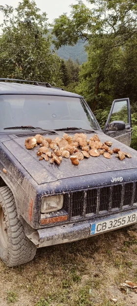 Jeep Cherokee Xj, снимка 4