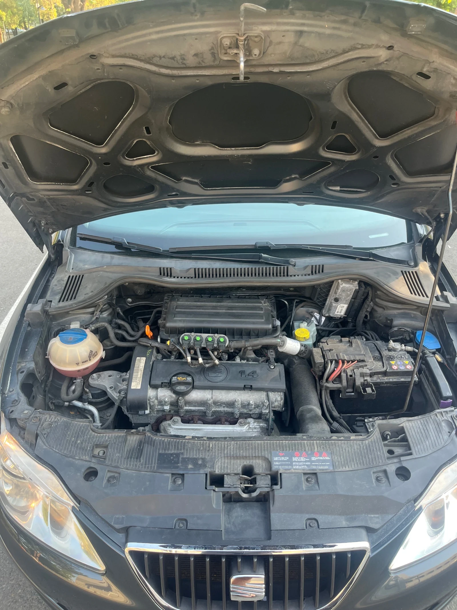 Seat Ibiza 1.4 86   | Mobile.bg   14