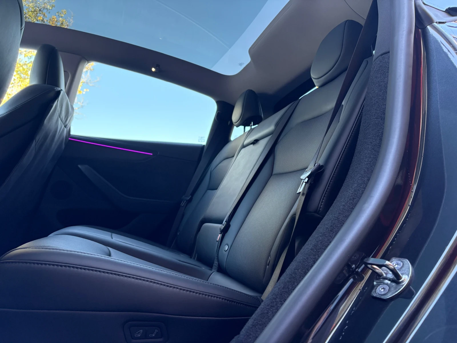 Tesla Model Y Juniper /All Whell Drive/ Long Range / Dual Motor - изображение 8