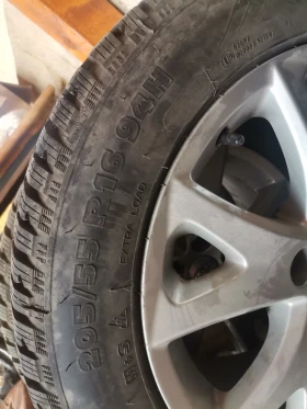      205/55R16