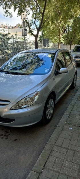 Peugeot 307, снимка 1