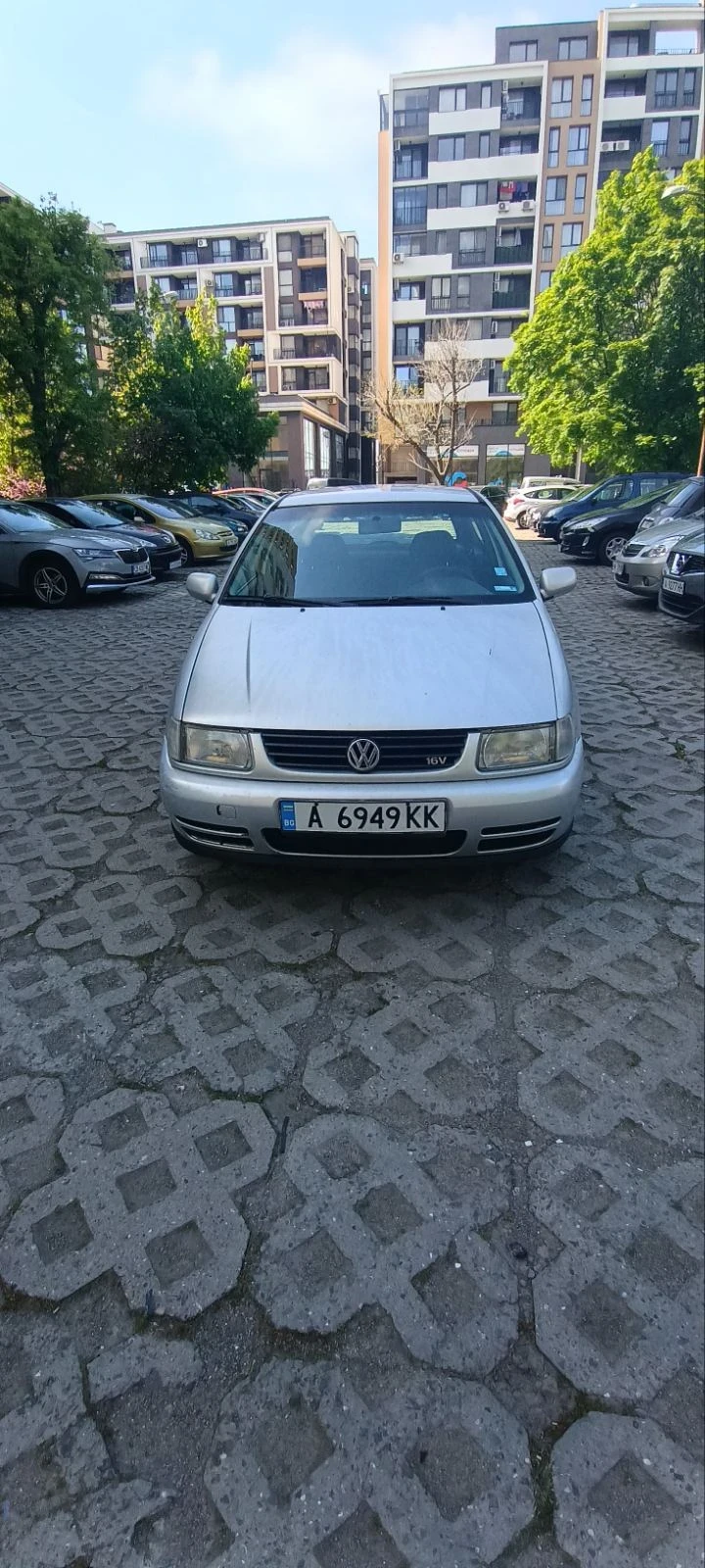 VW Polo