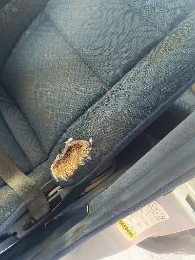 Mercedes-Benz C 180 | Mobile.bg   15