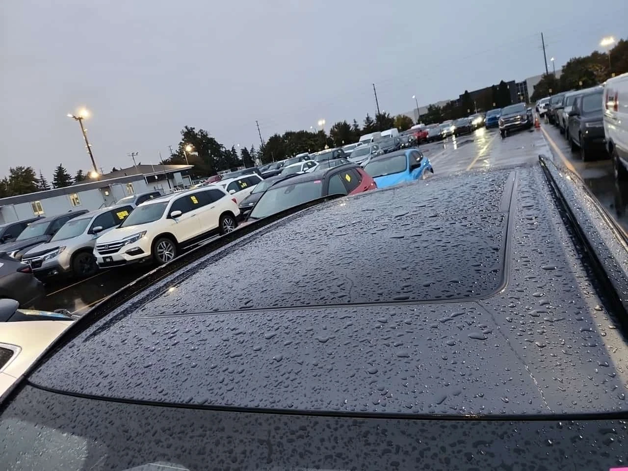 BMW X5 * Sports Activity Vehicle Xdrive40i * CARFAX *  | Mobile.bg � ����������� 7