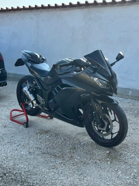     Kawasaki Ninja 300 A2