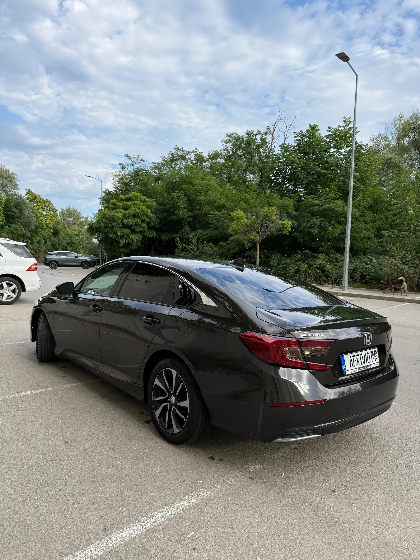 Honda Accord  - изображение 2