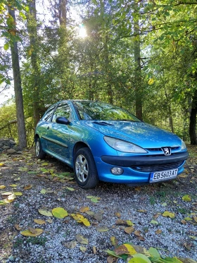 Peugeot 206
