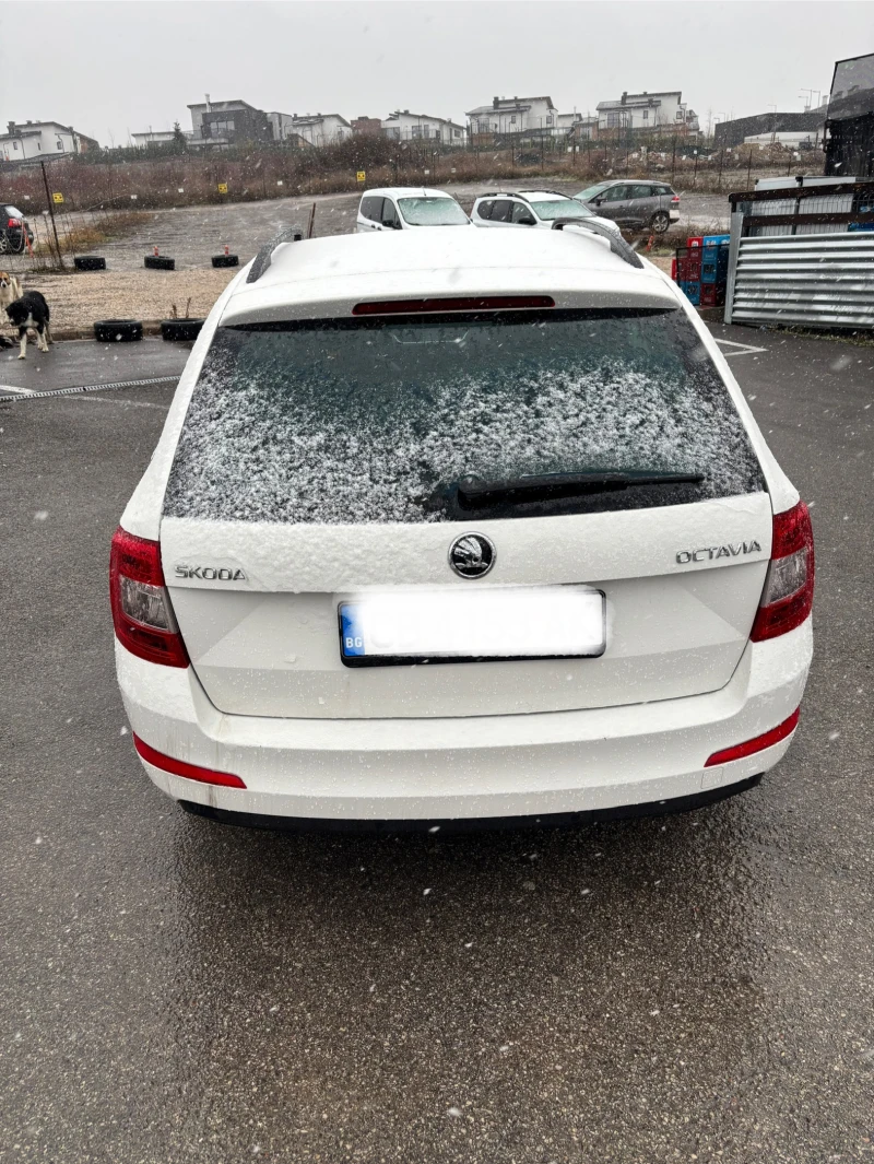 Skoda Octavia, снимка 6 - Автомобили и джипове - 48658330