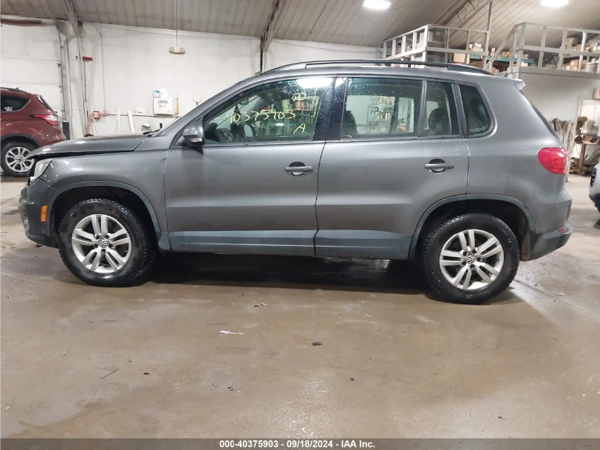 VW Tiguan  - изображение 8