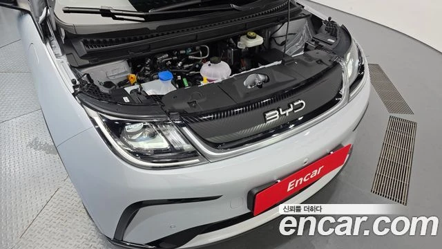 BYD Dolphin, снимка 6 - Автомобили и джипове - 56282200