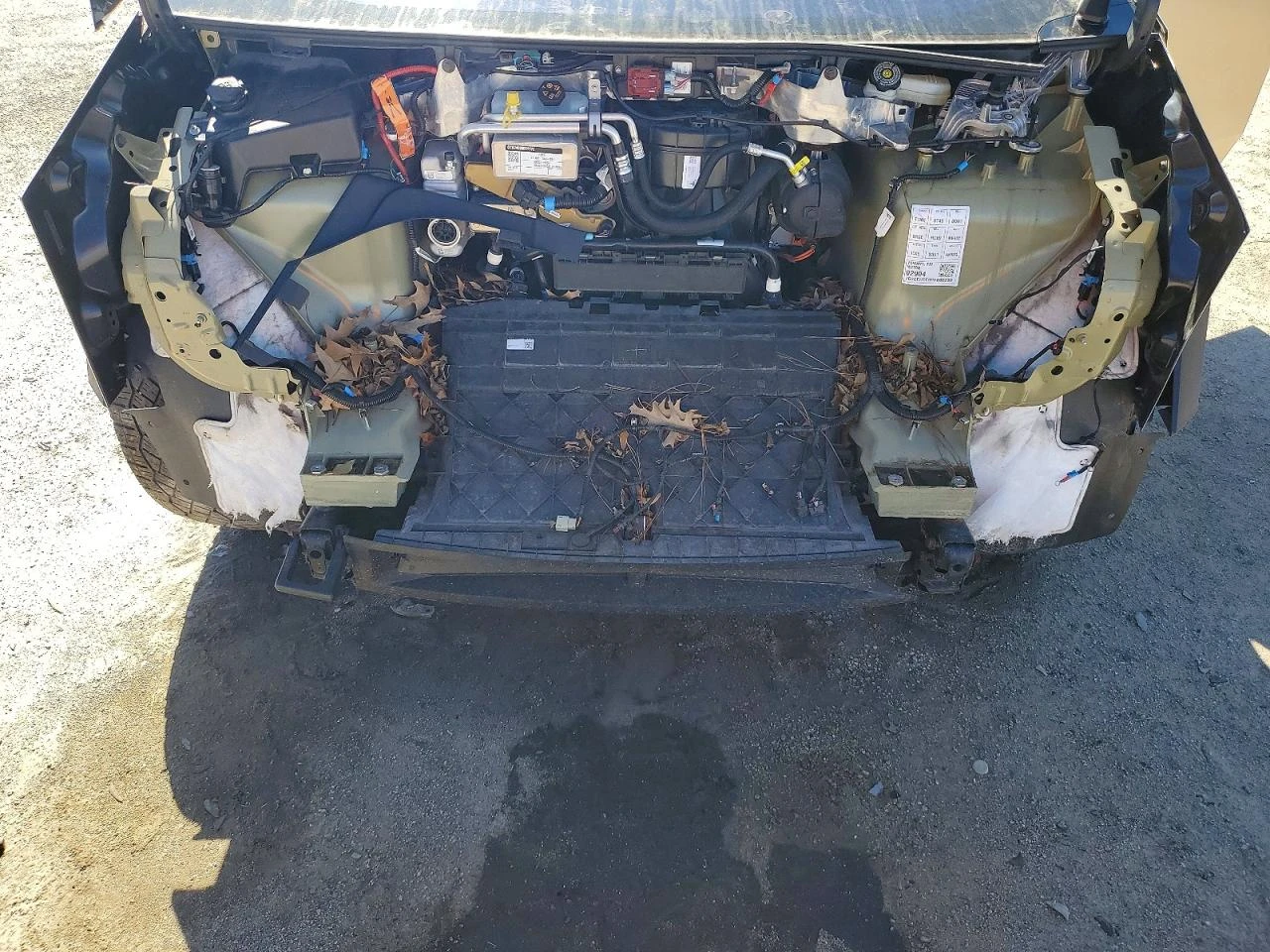 Tesla Cybertruck, снимка 11 - Автомобили и джипове - 53916557