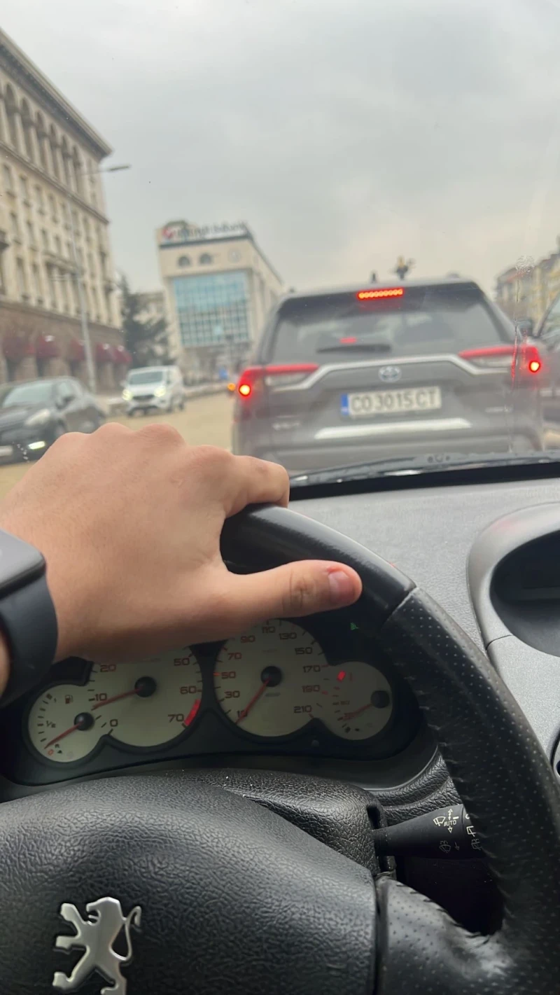 Peugeot 206 Roland Garros, снимка 3 - Автомобили и джипове - 52391311