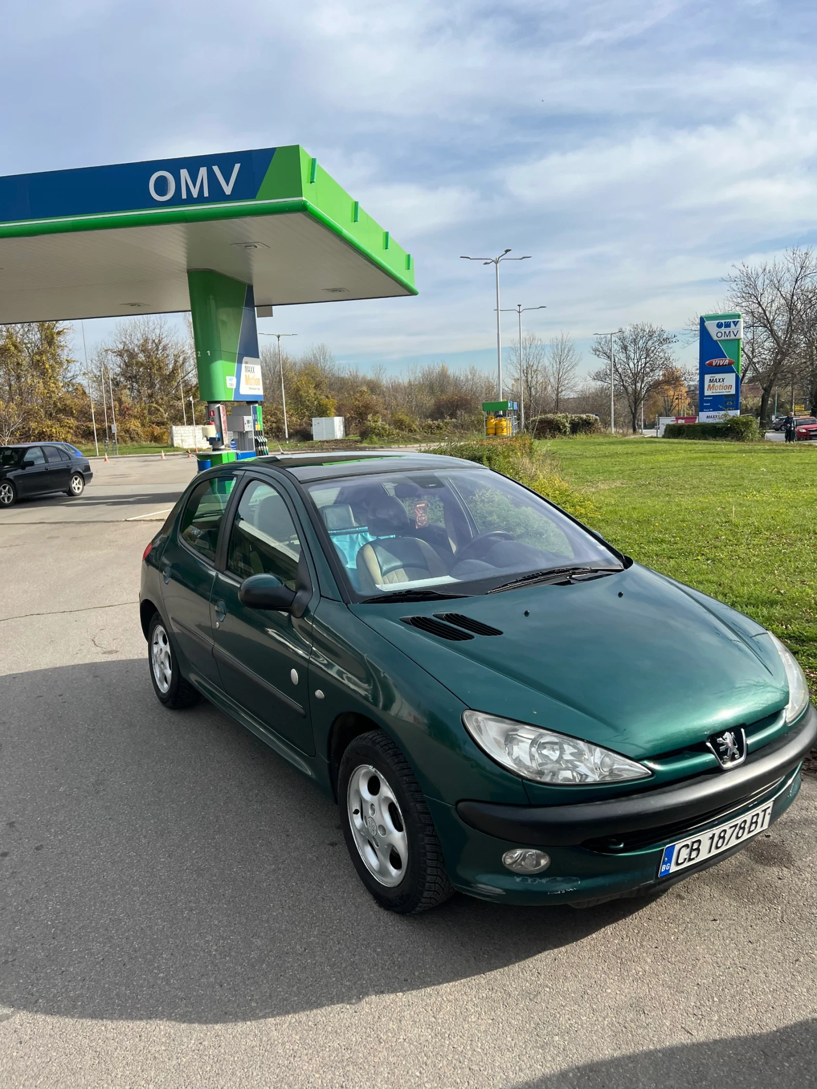 Peugeot 206 Roland Garros, снимка 1