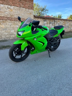 Kawasaki Ninja 250R, снимка 1