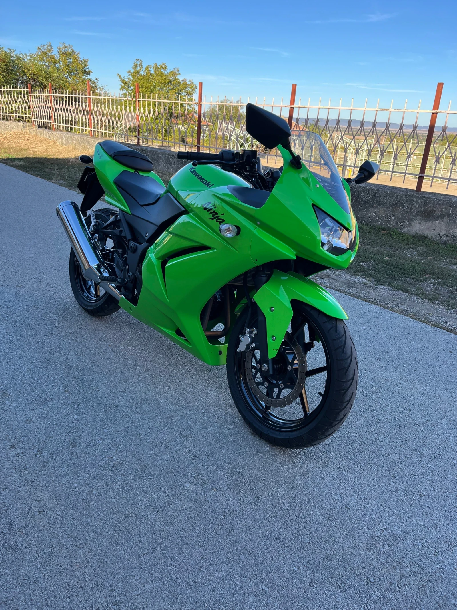 Kawasaki Ninja 250R - изображение 3