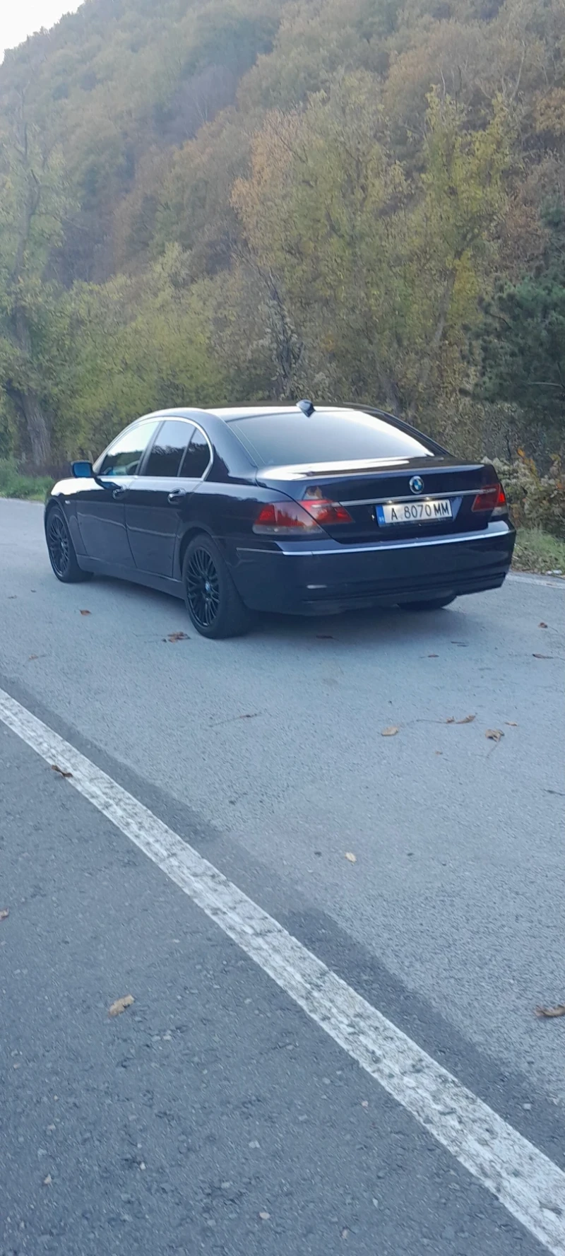 BMW 730 730D 231 коня , снимка 4 - Автомобили и джипове - 53054741