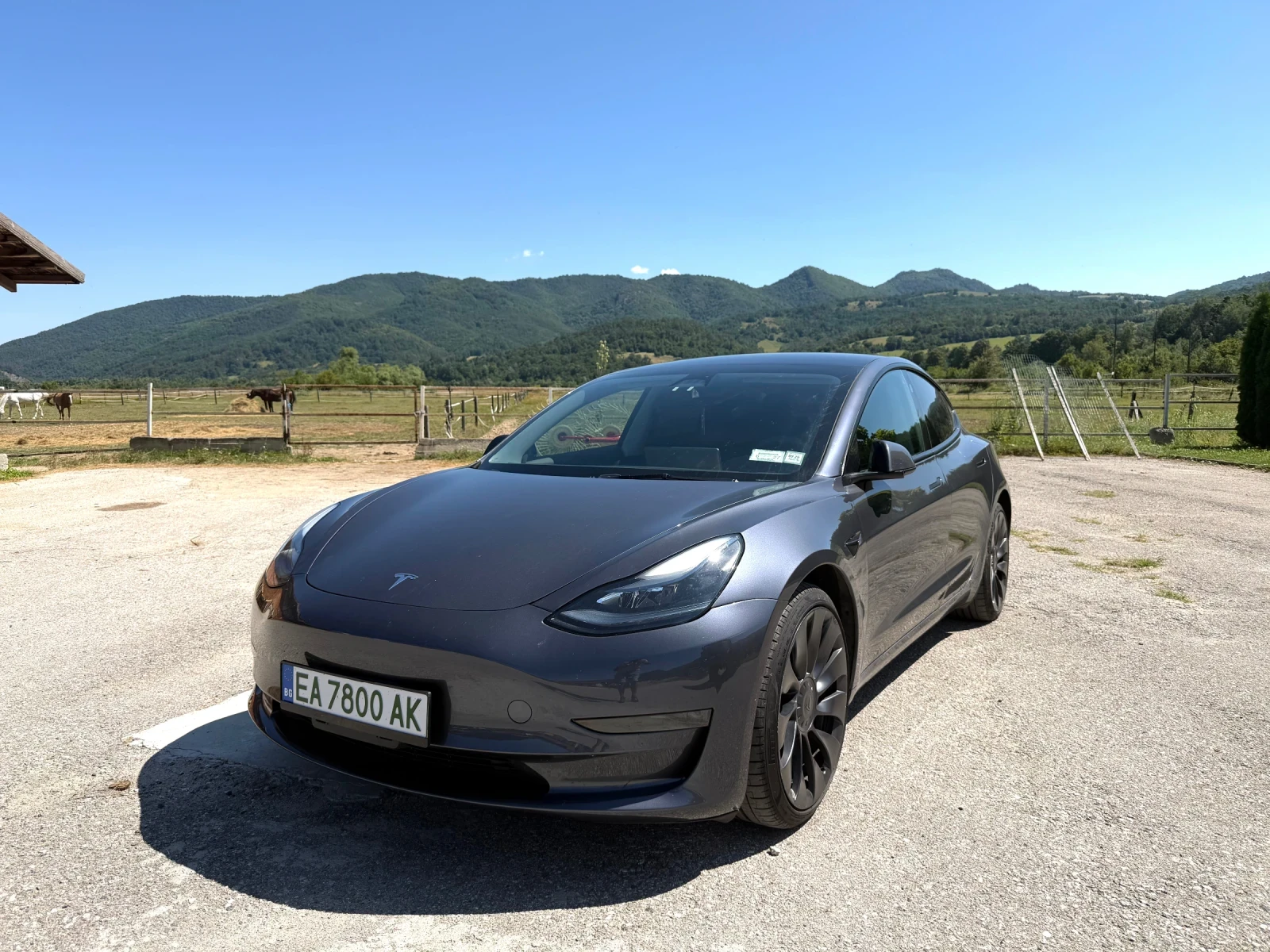 Tesla Model 3 Performance/37 000км