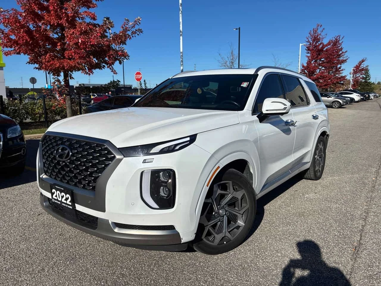 Hyundai Palisade Ultimate Calligraphy/CARFAX/КЛИП НА МОТОРА