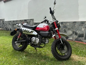 Honda Monkey Z125 | Mobile.bg    4