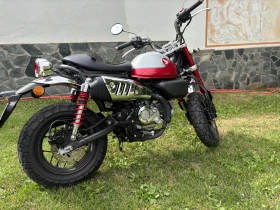 Honda Monkey Z125 | Mobile.bg    3