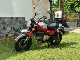 Honda Monkey Z125 | Mobile.bg    2