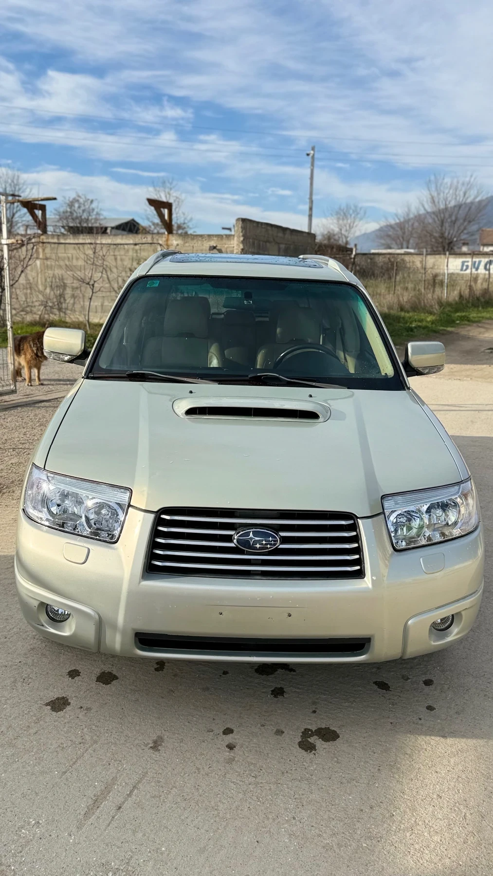 Subaru Forester 2.5xt TURBO | Mobile.bg � ����������� 1