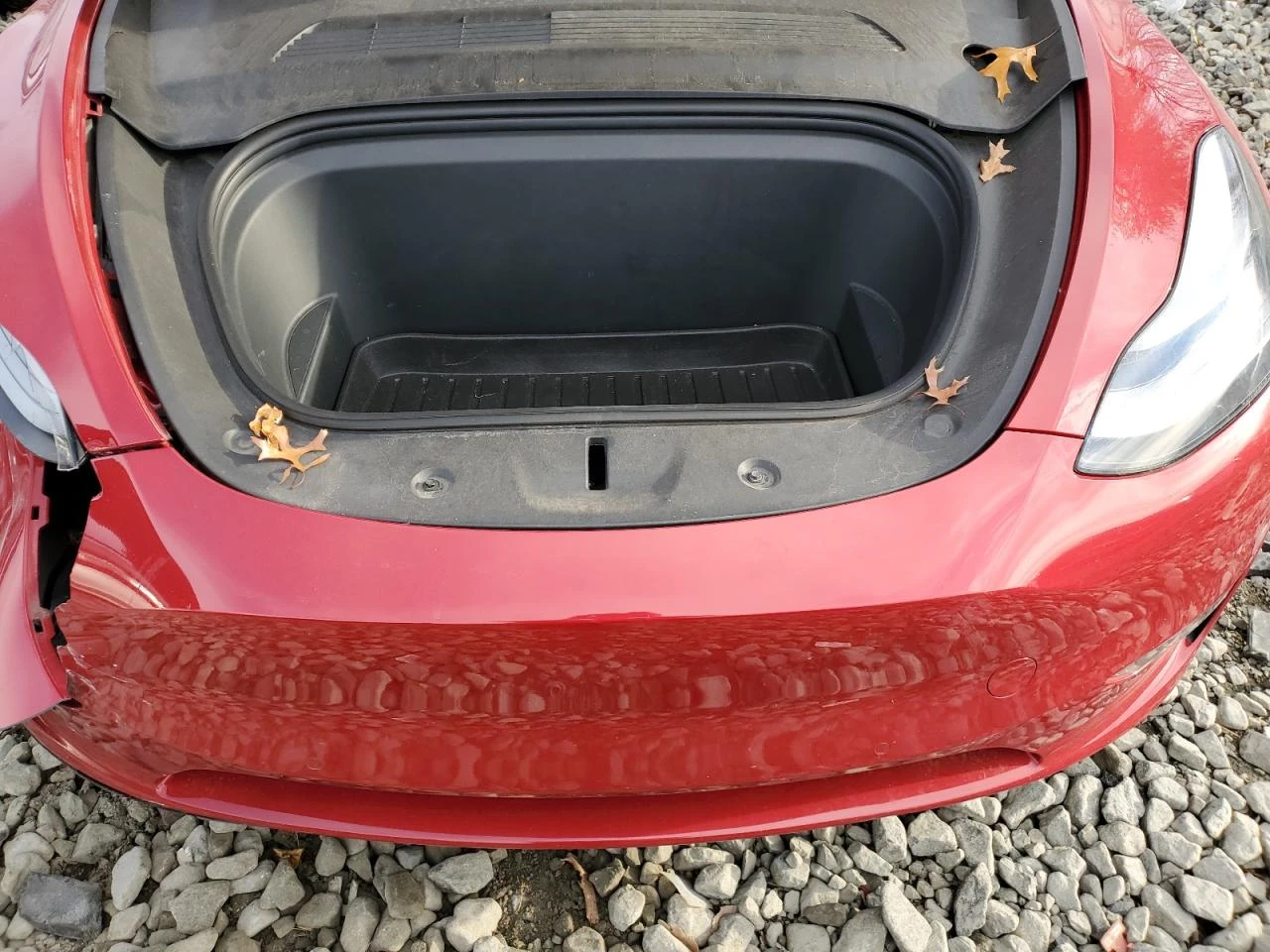 Tesla Model Y, снимка 11 - Автомобили и джипове - 53916546