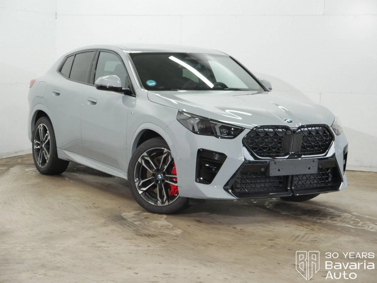 BMW X2 18d  sDrive  M Sport Paket - изображение 4