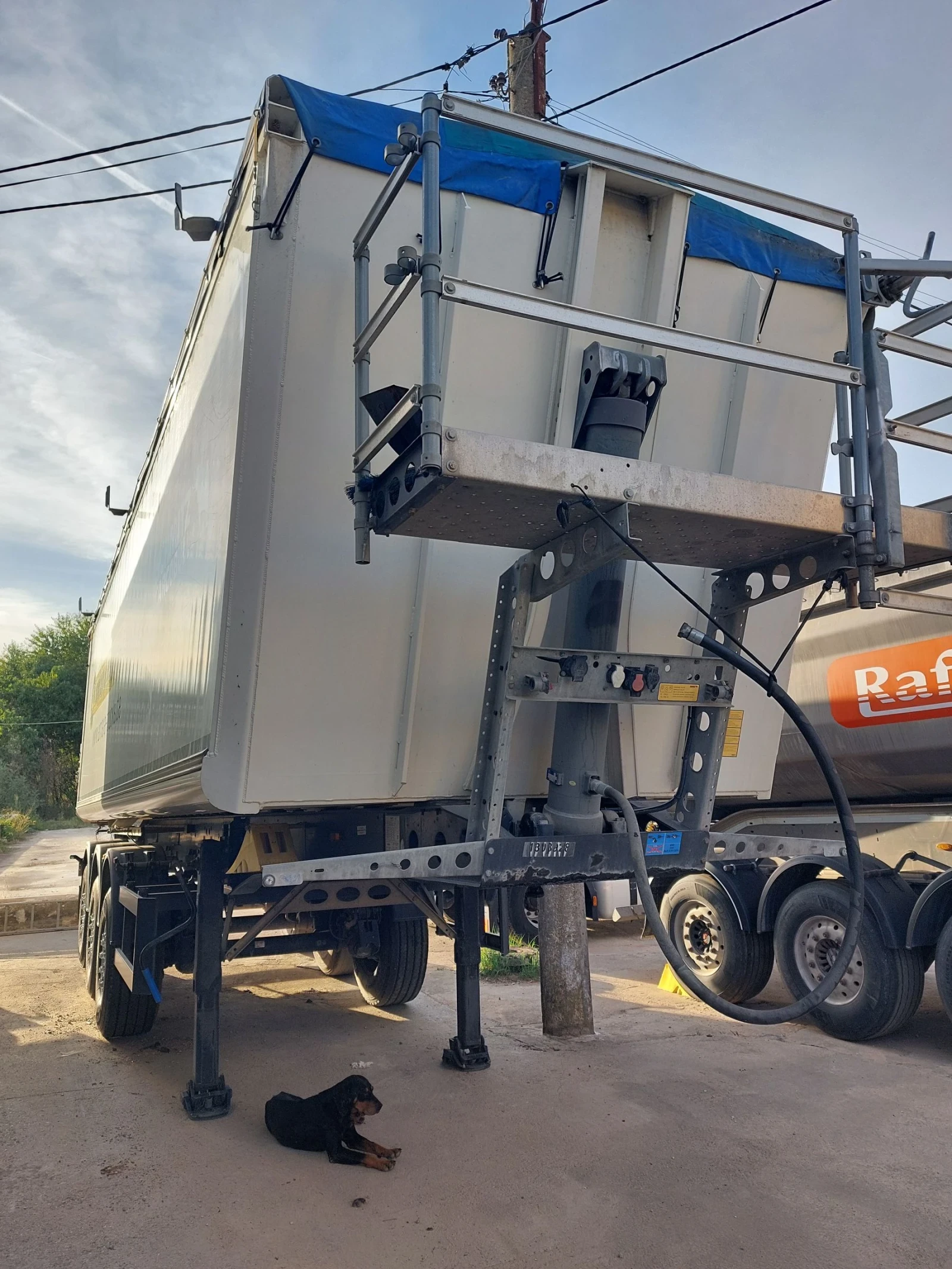  Schmitz   | Mobile.bg   4