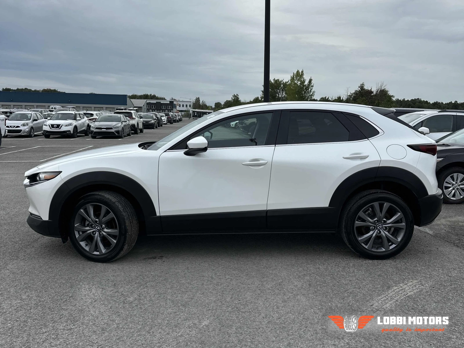Mazda CX-30, снимка 2 - Автомобили и джипове - 56113625