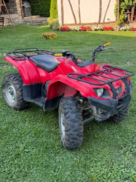 Yamaha Grizzly, снимка 1
