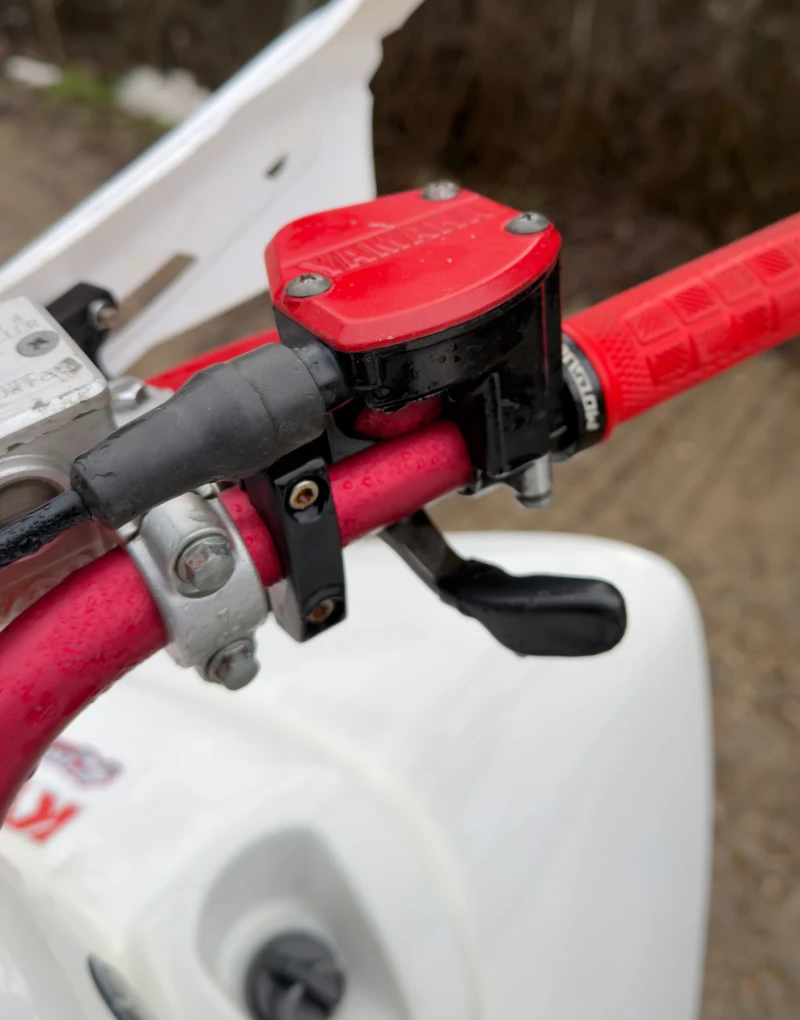 Yamaha Raptor, снимка 8 - Мотоциклети и мототехника - 53214229