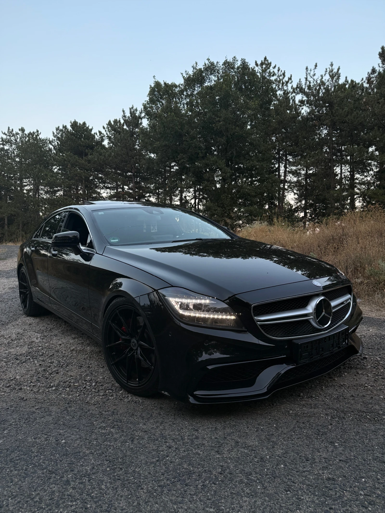 Mercedes-Benz CLS 350  - изображение 4