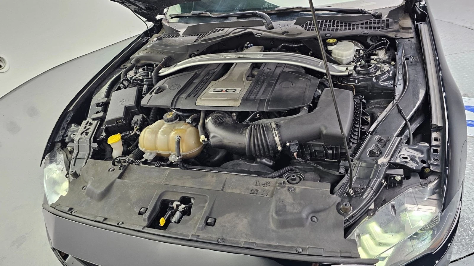 Ford Mustang GT - PREMIUM - DISTRONIC - ОБДУХ - ПОДГРЕВИ, снимка 7 - Автомобили и джипове - 56103615