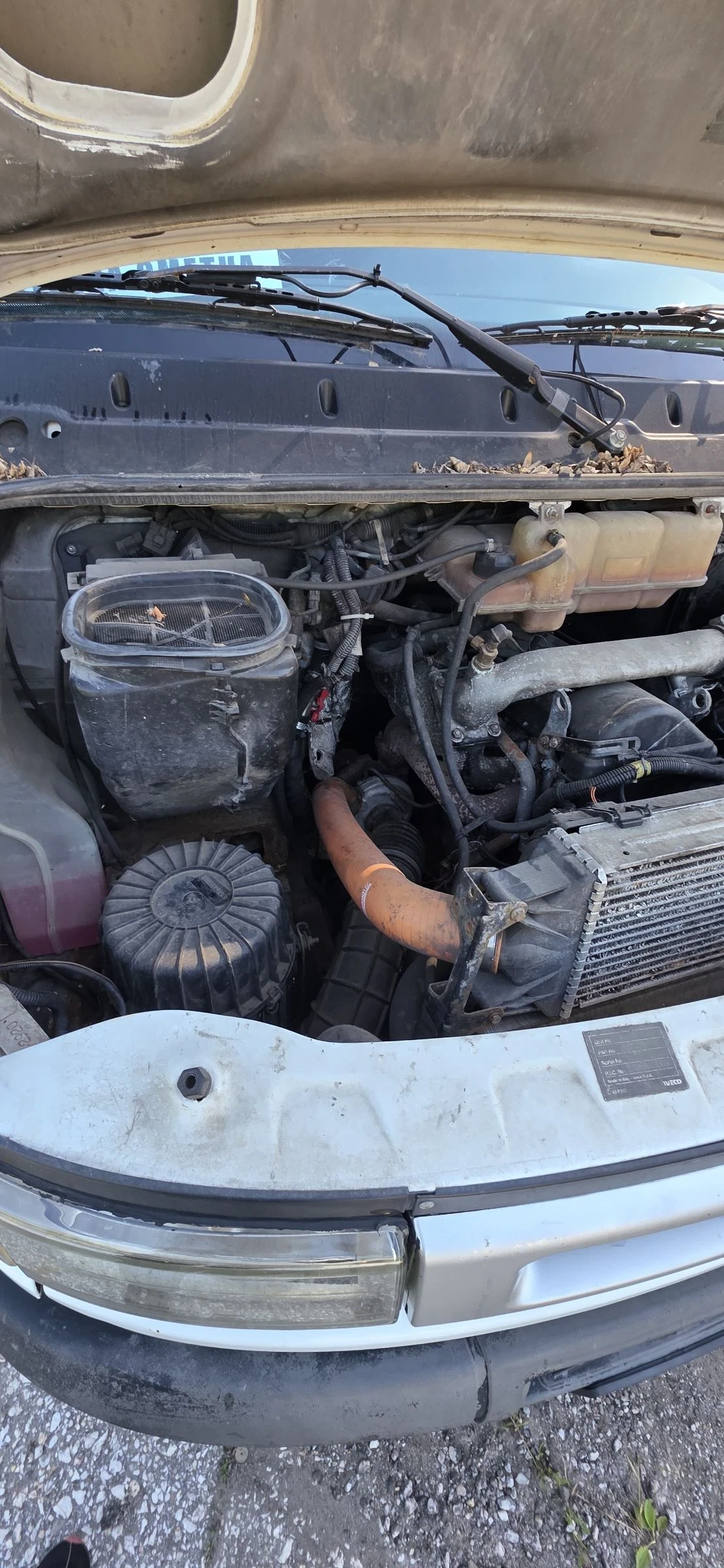 Iveco 50с18, снимка 15 - Бусове и автобуси - 54921953