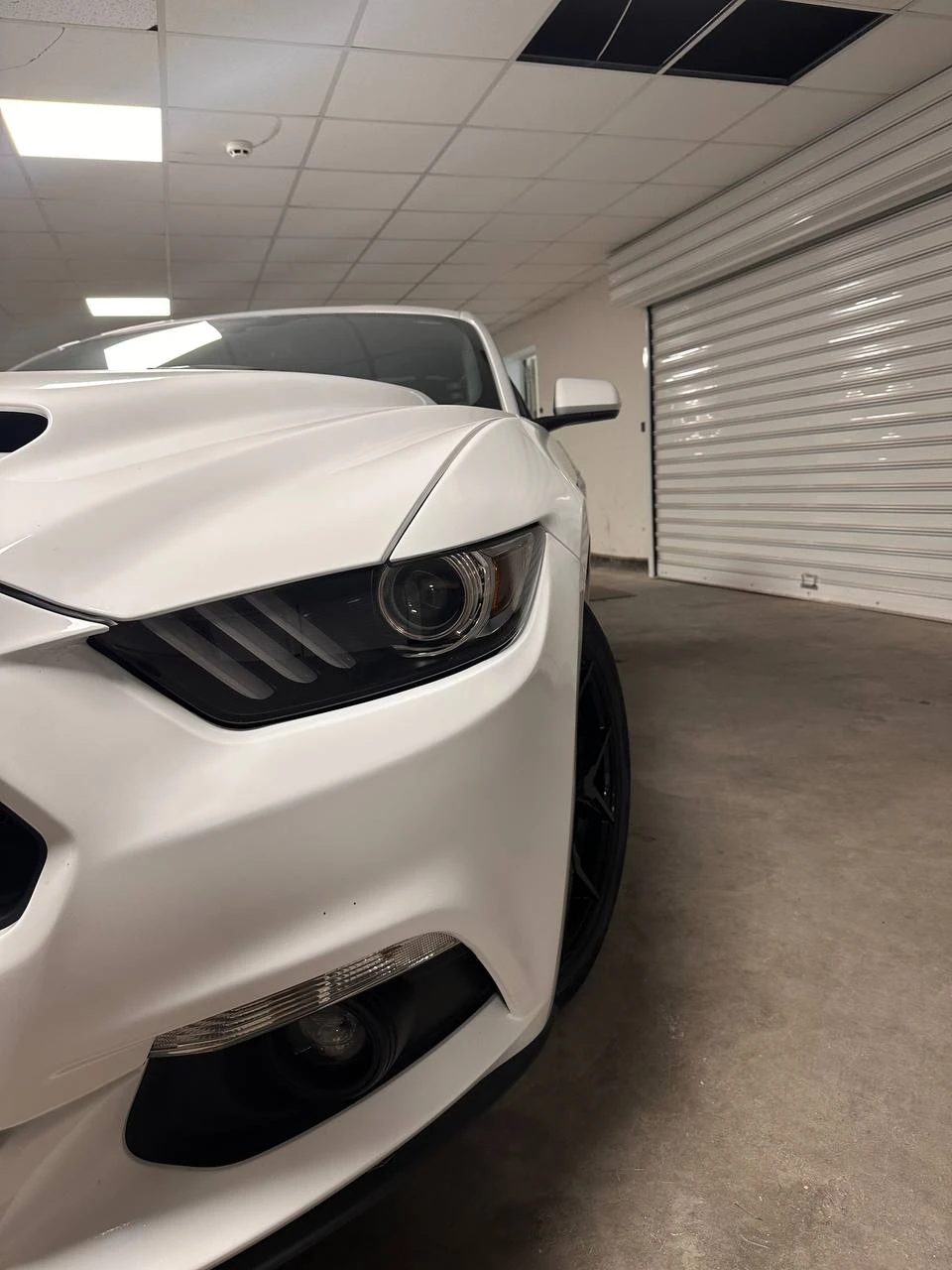 Ford Mustang Cyclone - изображение 2