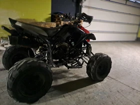 Bashan BS 300 куб, снимка 5