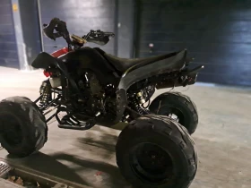 Bashan BS 300 куб, снимка 8