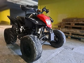 Bashan BS 300 куб, снимка 1