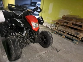 Bashan BS 300 куб, снимка 7